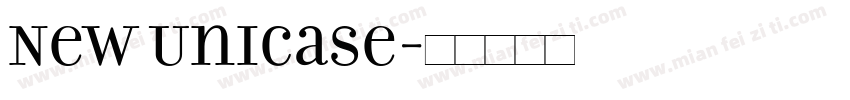 New Unicase字体转换